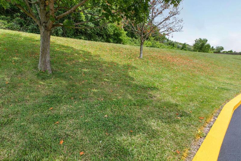 Super 8 by Wyndham Bridgeport/Clarksburg Area image