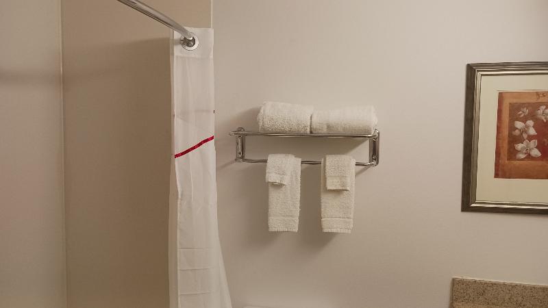 Red Roof Inn & Suites Midland image