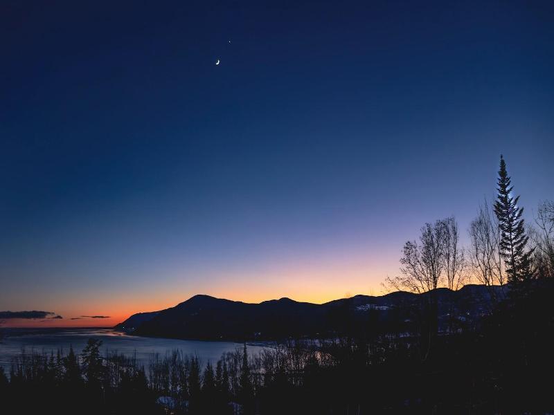 Nature Et Pinceaux image