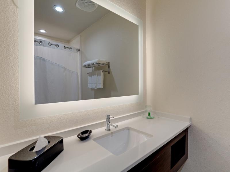 Holiday Inn Mobile - Airport image