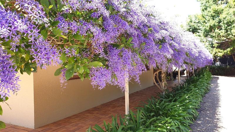 Bendles Cottages and Country Villas image
