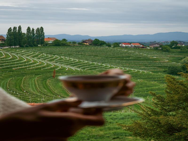 Dvorec Jeruzalem image