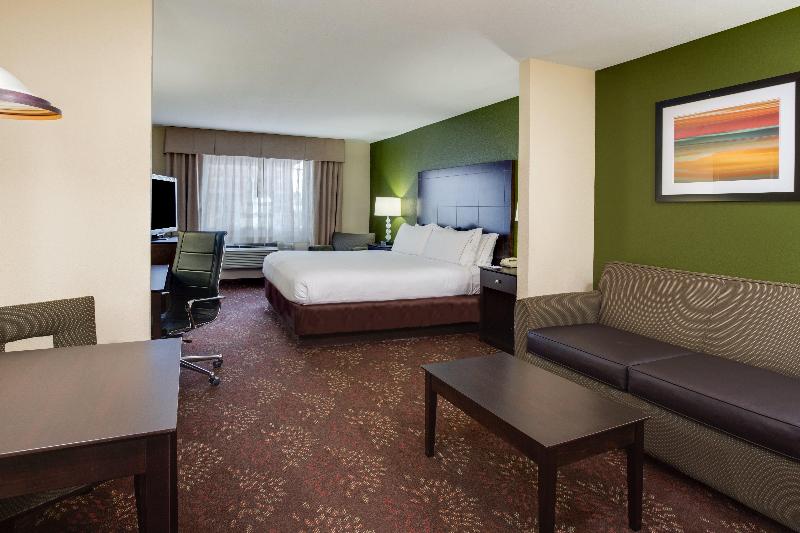 Holiday Inn Express Harvey-Marrero photo 19