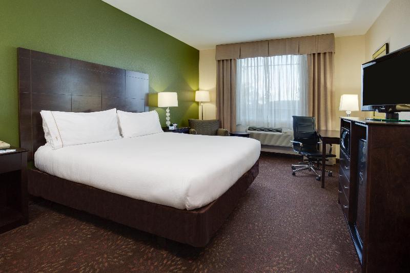 Holiday Inn Express Harvey-Marrero photo 14