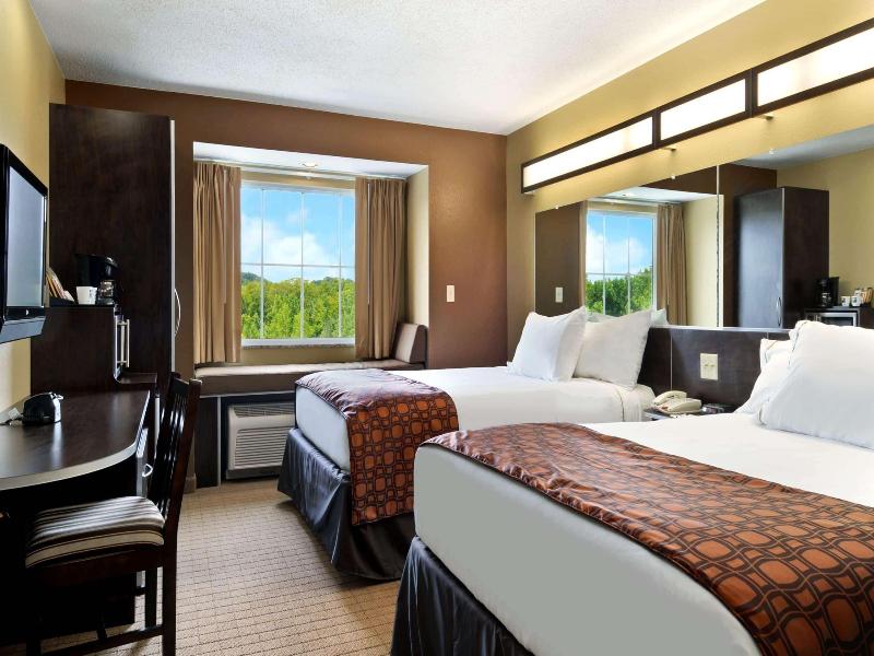 Microtel Inn & Suites By Wyndham Marietta image