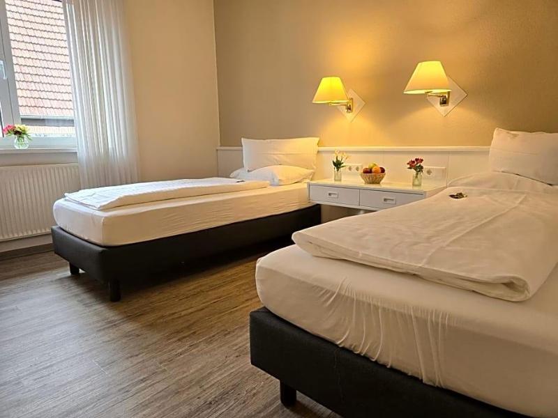 Hotel Samson image