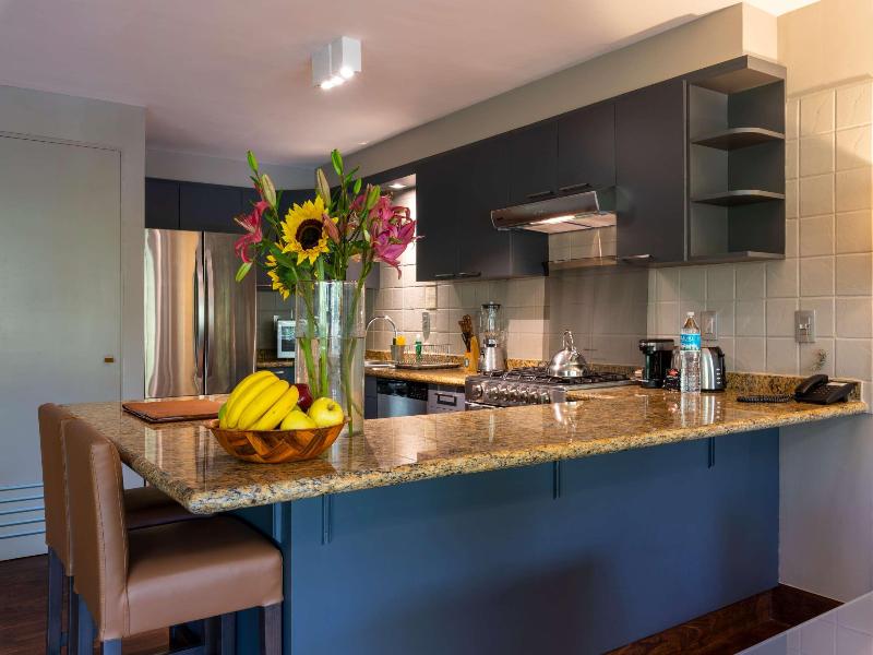 Dominion Polanco Suites image