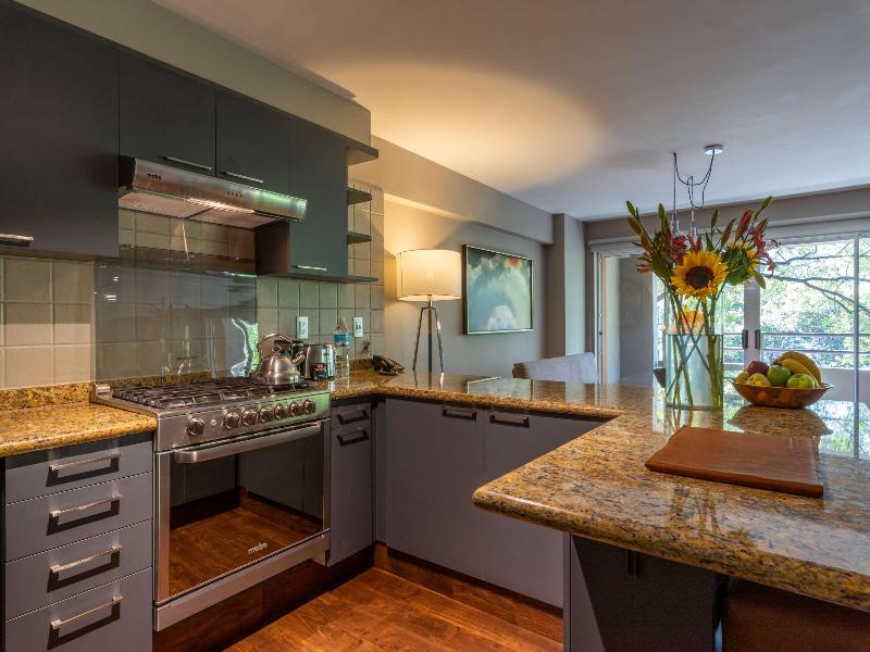 Dominion Polanco Suites image