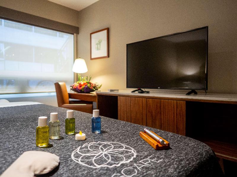 Dominion Polanco Suites image