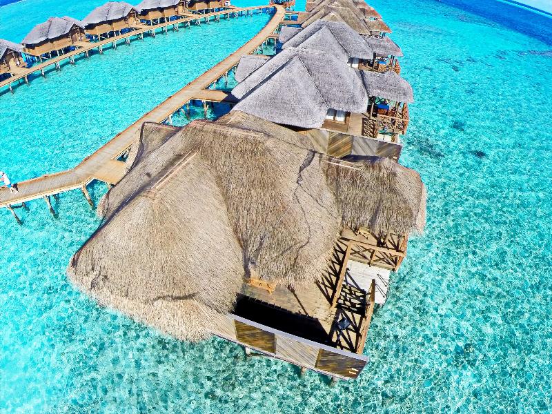 费哈霍岛度假村 (fihalhohi island resort)