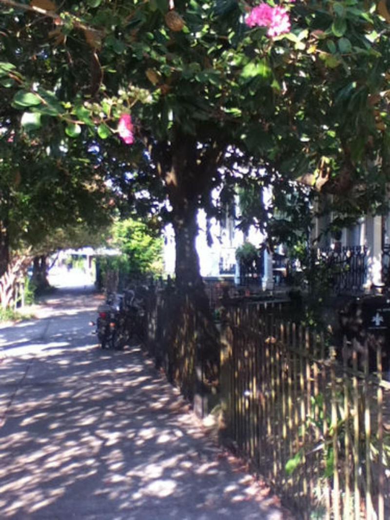 Garden District Bed & Breakfast