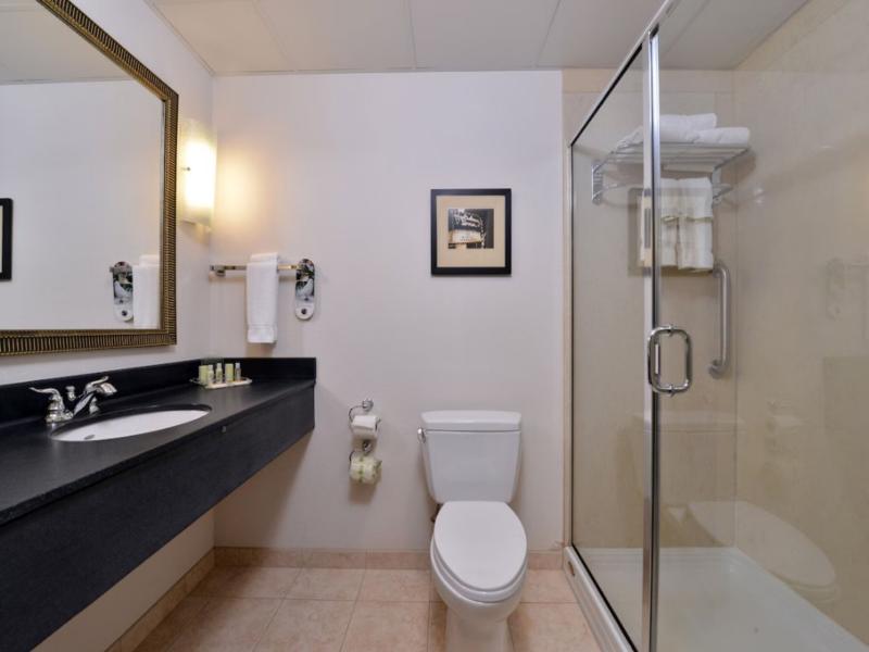 Holiday Inn Madison at the American Center image
