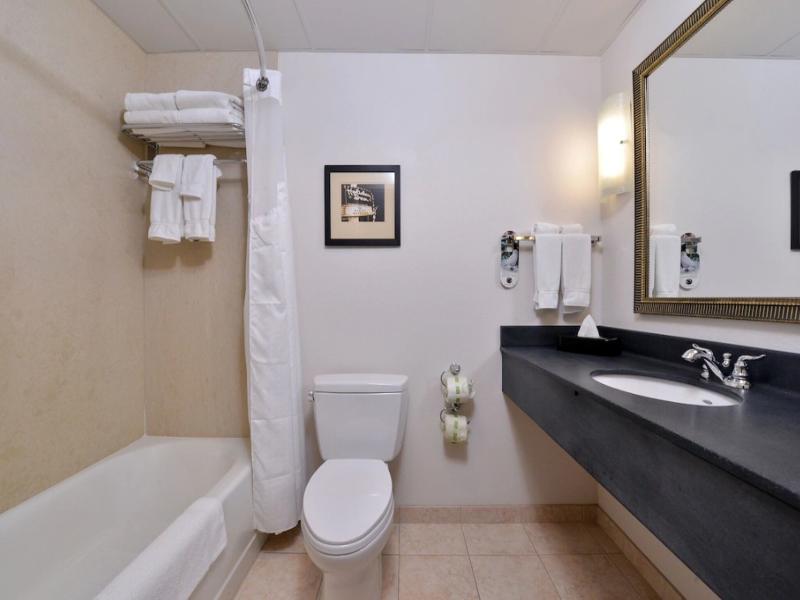 Holiday Inn Madison at the American Center image
