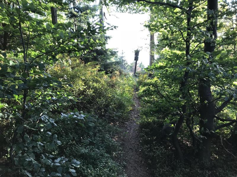 Penzion Na Doline image