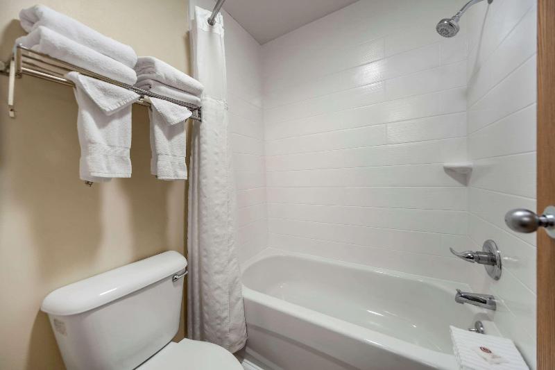 Comfort Inn Valentine image