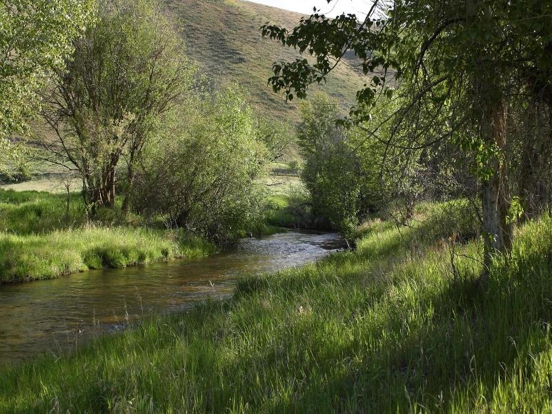 Rye Creek Lodge — general view