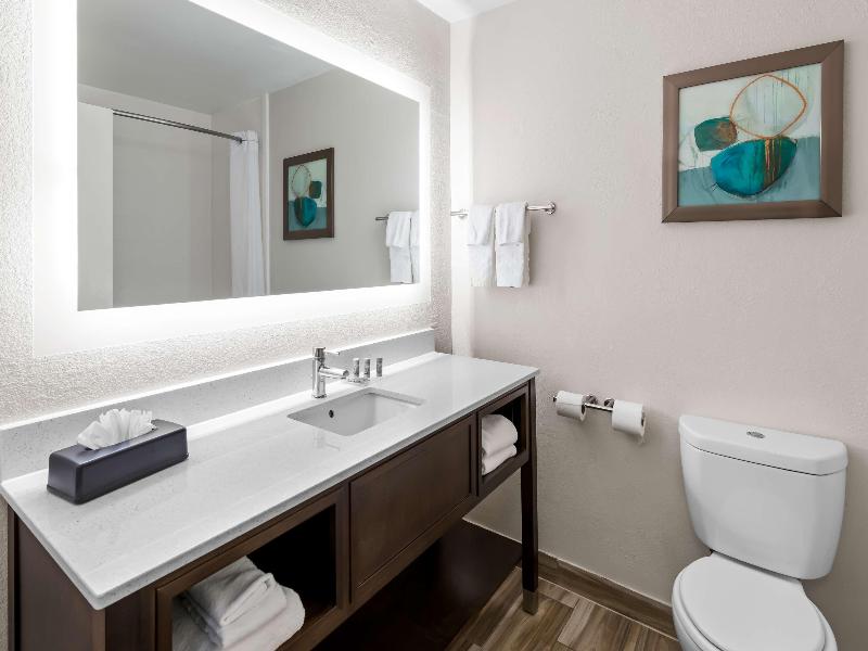 Best Western Worlds of Fun Inn & Suites image