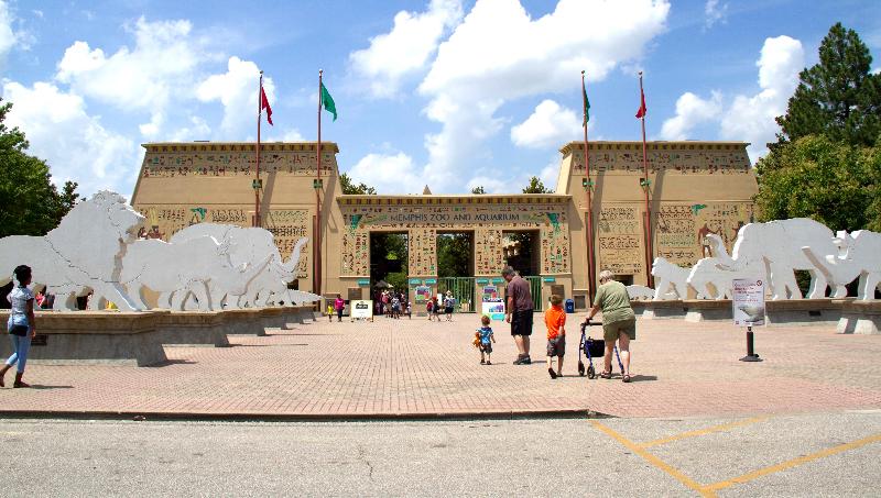 Staybridge Suites Memphis - Poplar Avenue East