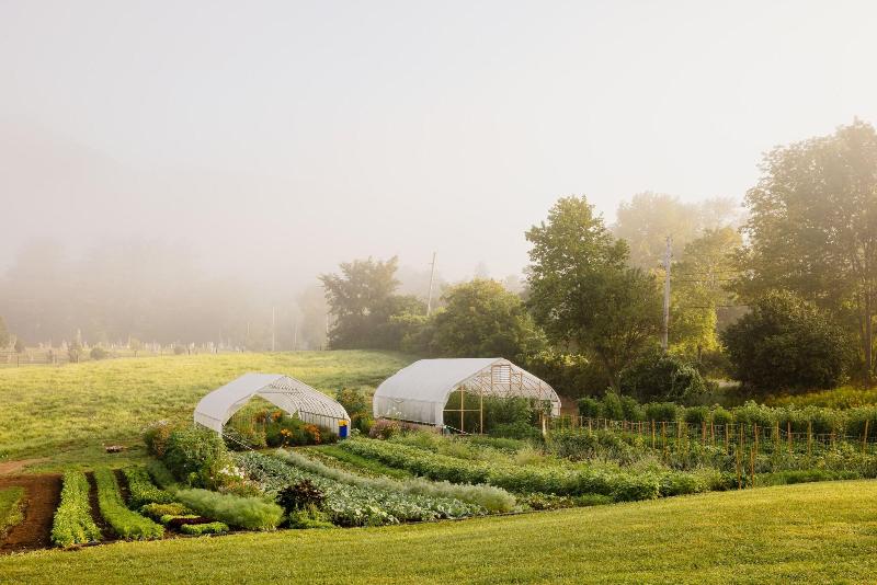 Hill Farm Inn image