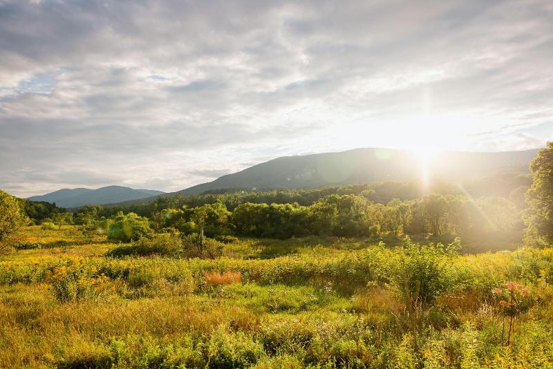 Hill Farm Inn image