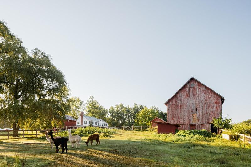 Hill Farm Inn image