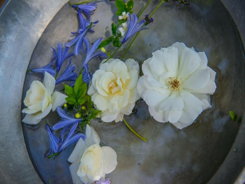 Summerfields River Lodge & Rose Spa image