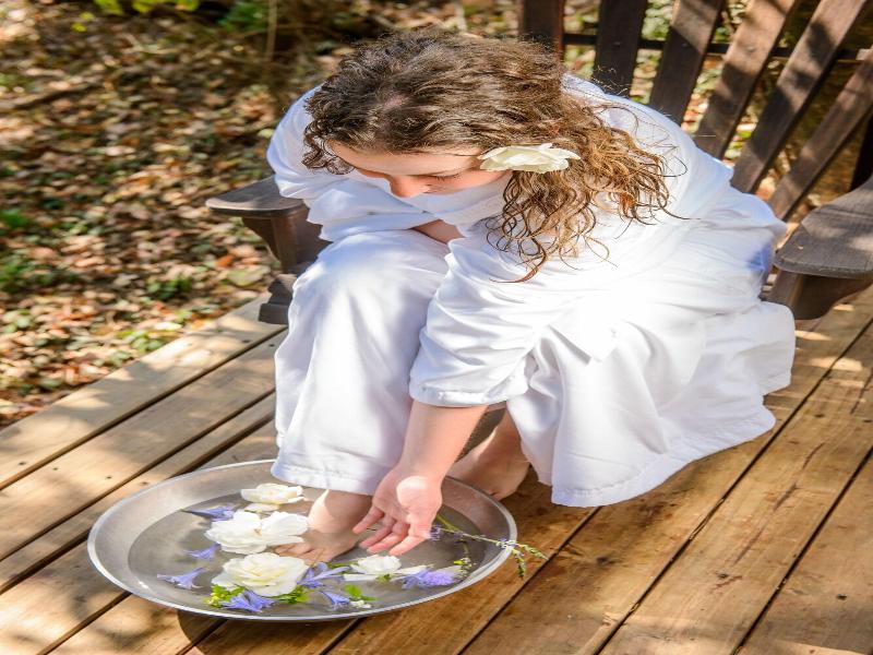 Summerfields River Lodge & Rose Spa image