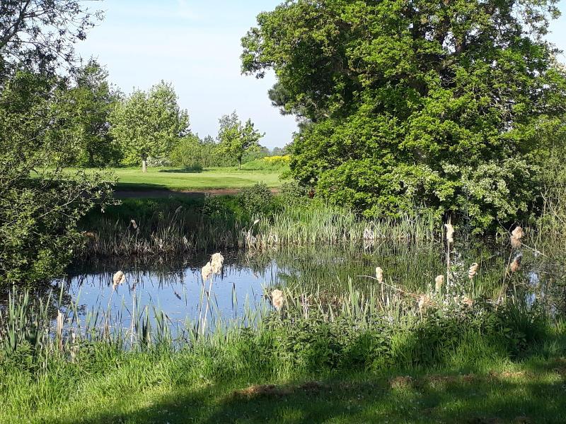 Weald of Kent image