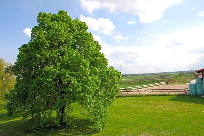 Parsberg image