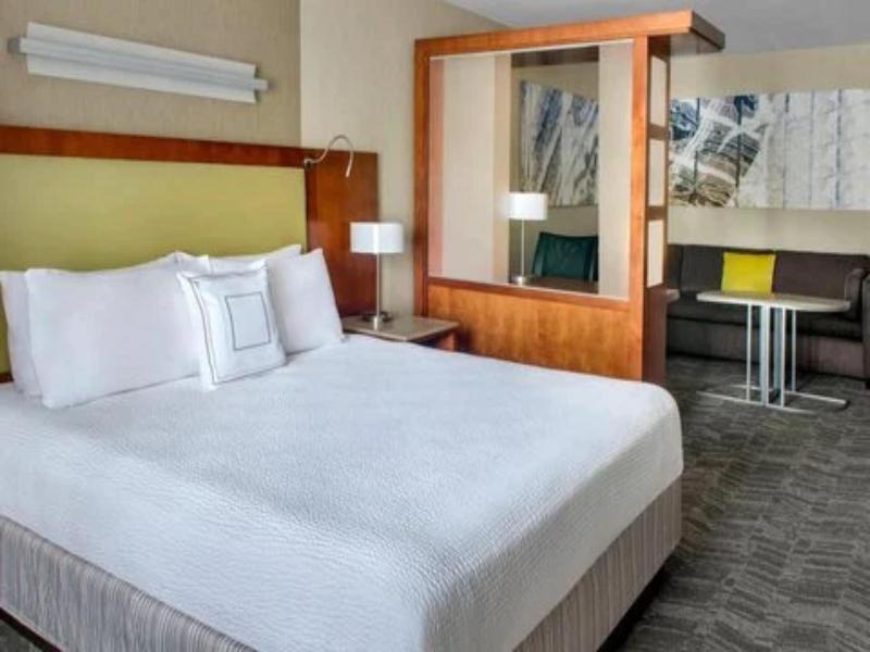 SpringHill Suites Long Island Brookhaven image