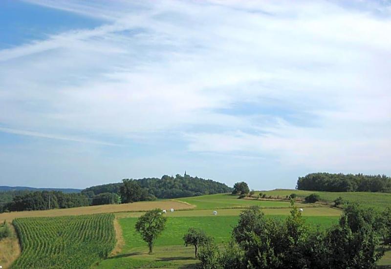 Zum Bartl image