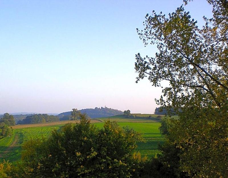 Zum Bartl image