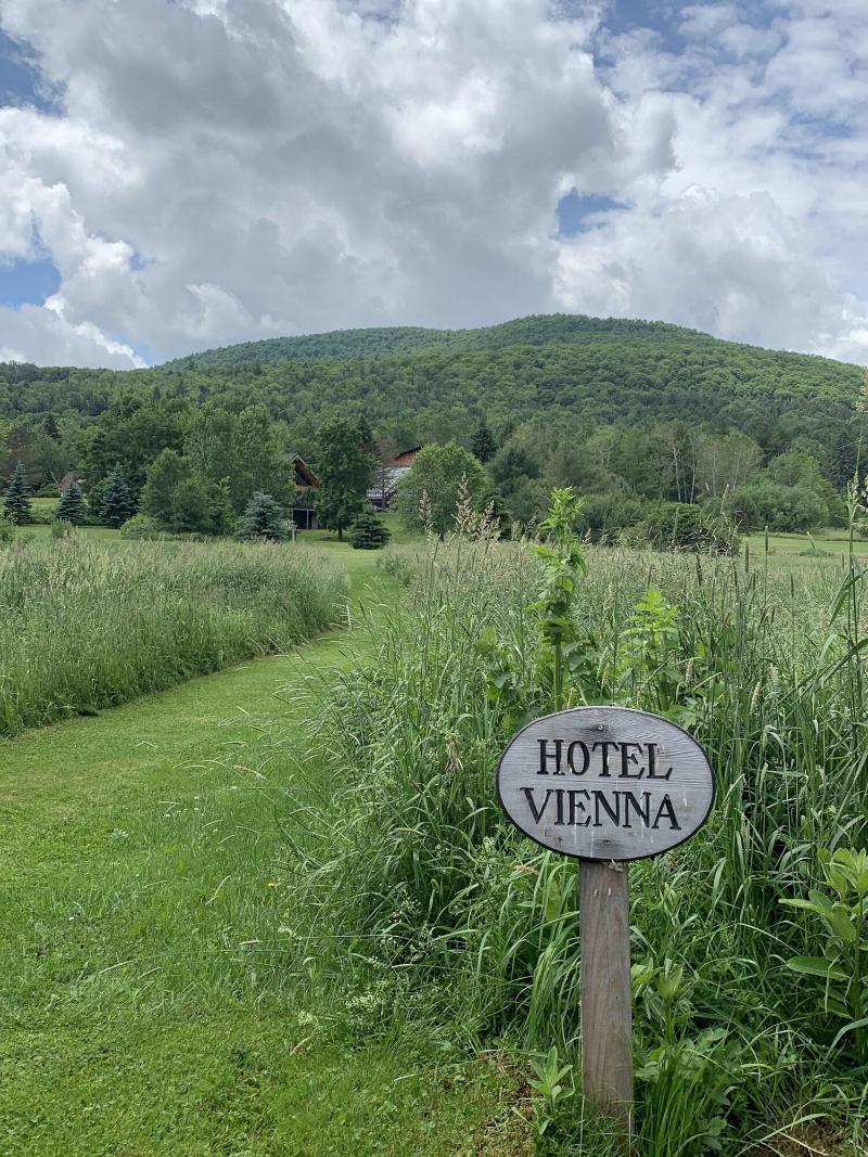 Vienna image