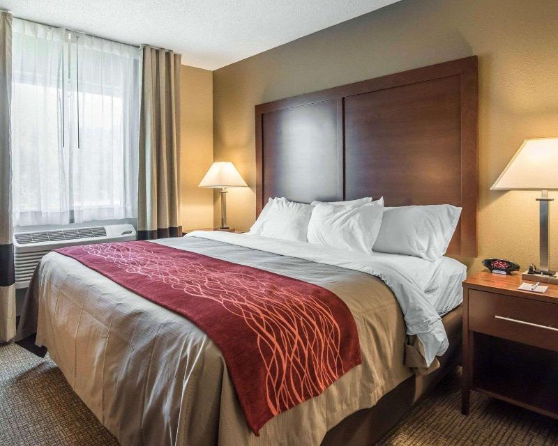 Comfort Inn Saugerties image