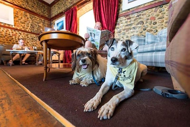 The Red Lion Hotel - Inn image