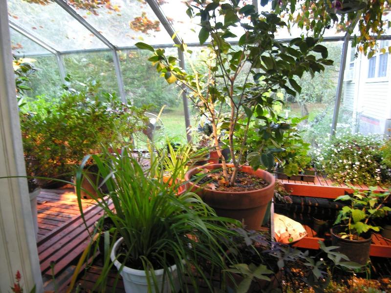 Delano Homestead Bed & Breakfast image