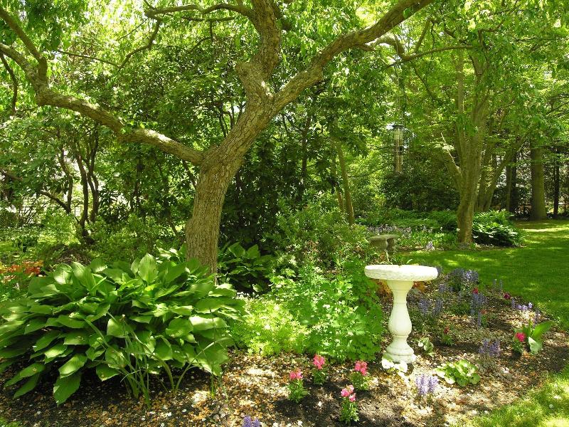 Delano Homestead Bed & Breakfast image