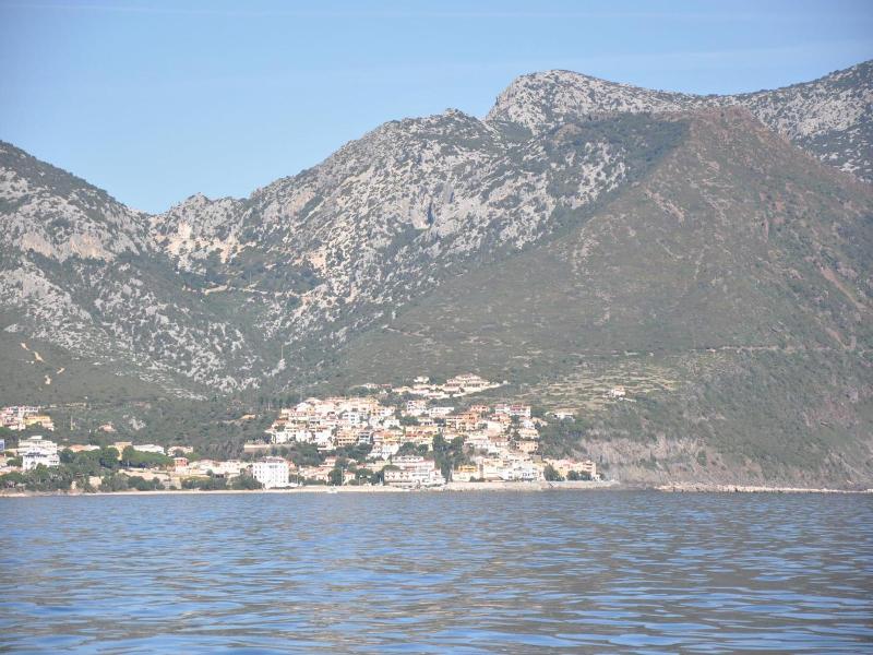 L'Oasi image