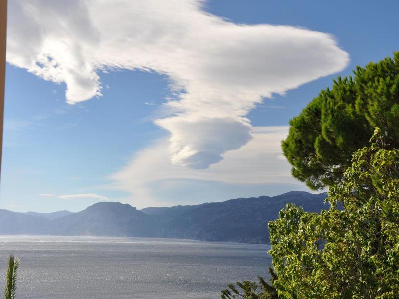 L'Oasi image
