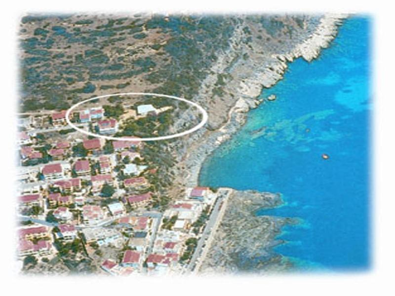 L'Oasi image