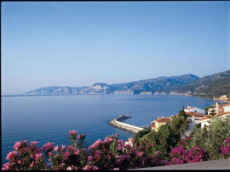 L'Oasi image