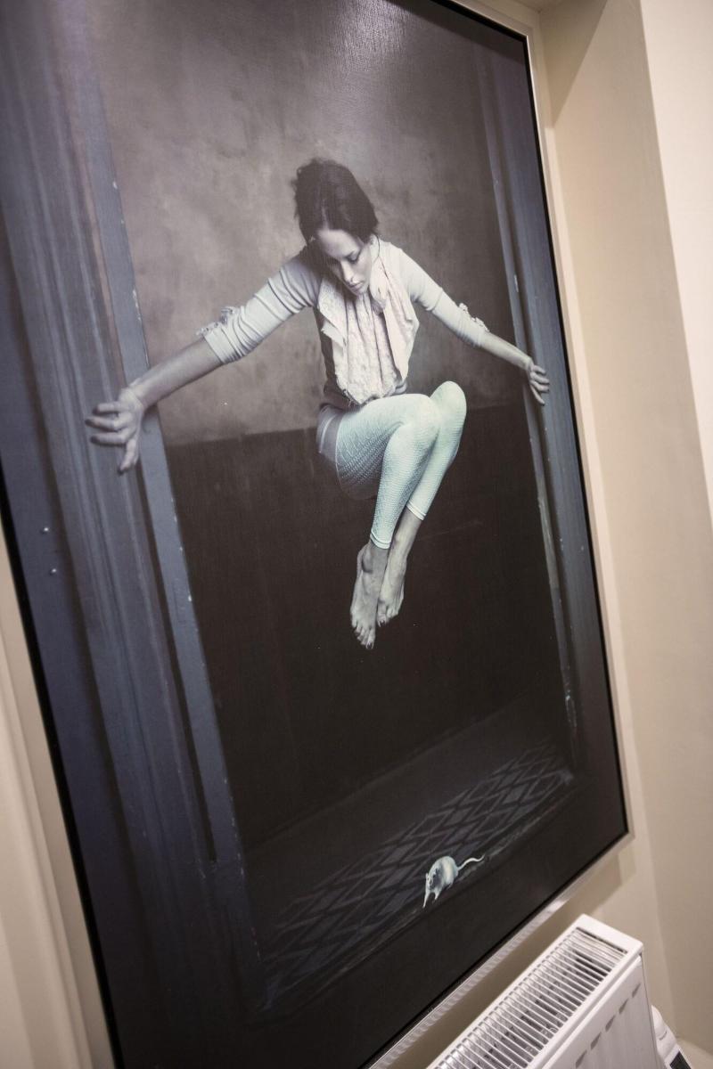 Holly Lodge image