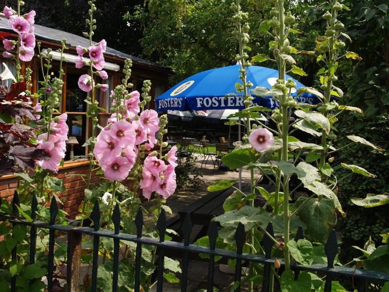 The Olde Windmill Inn image