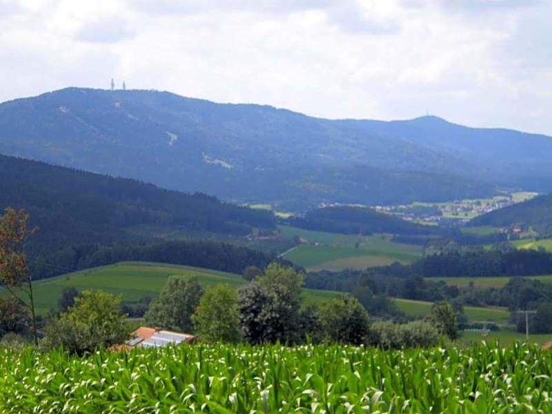 Gasthof - Pension Schamberger image