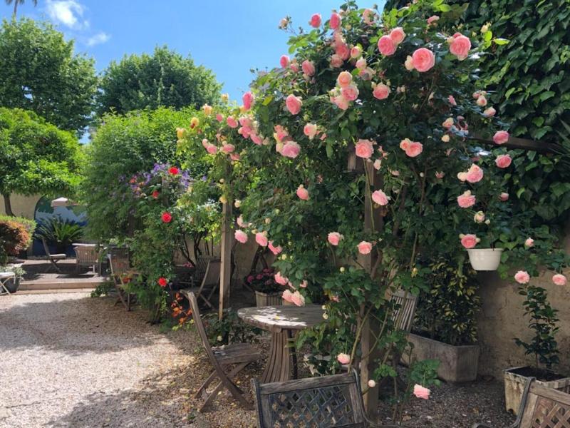 Nice Garden Hotel image
