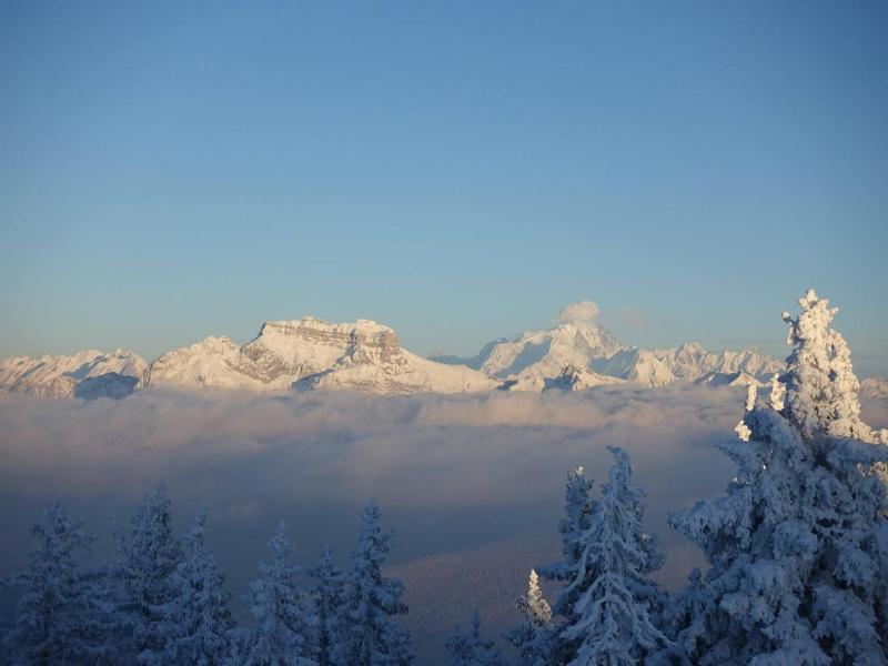 Les Tilleuls image