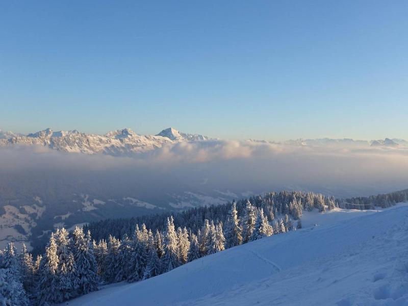 Les Tilleuls image