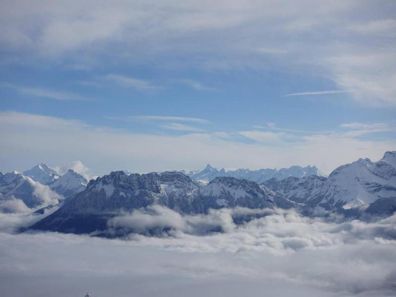 Les Tilleuls image