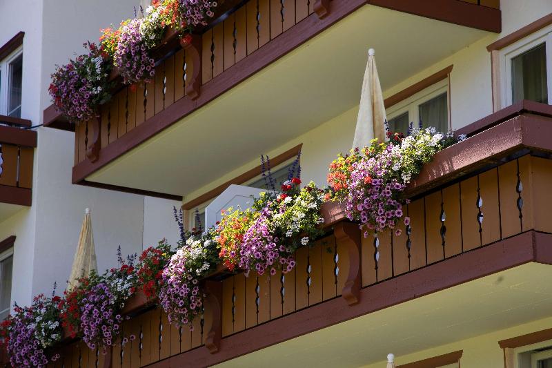 Ringhotel Nebelhornblick image