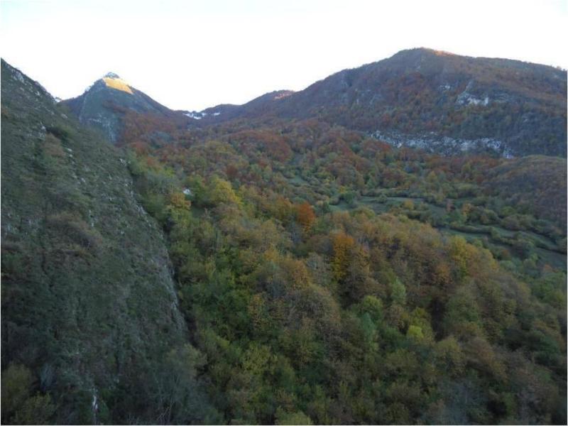 Camangu image